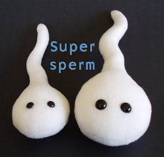 Autobiography of a Sperm